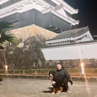 ブログ画像